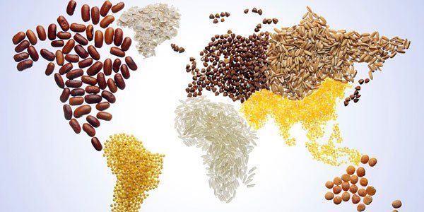 Alimentos